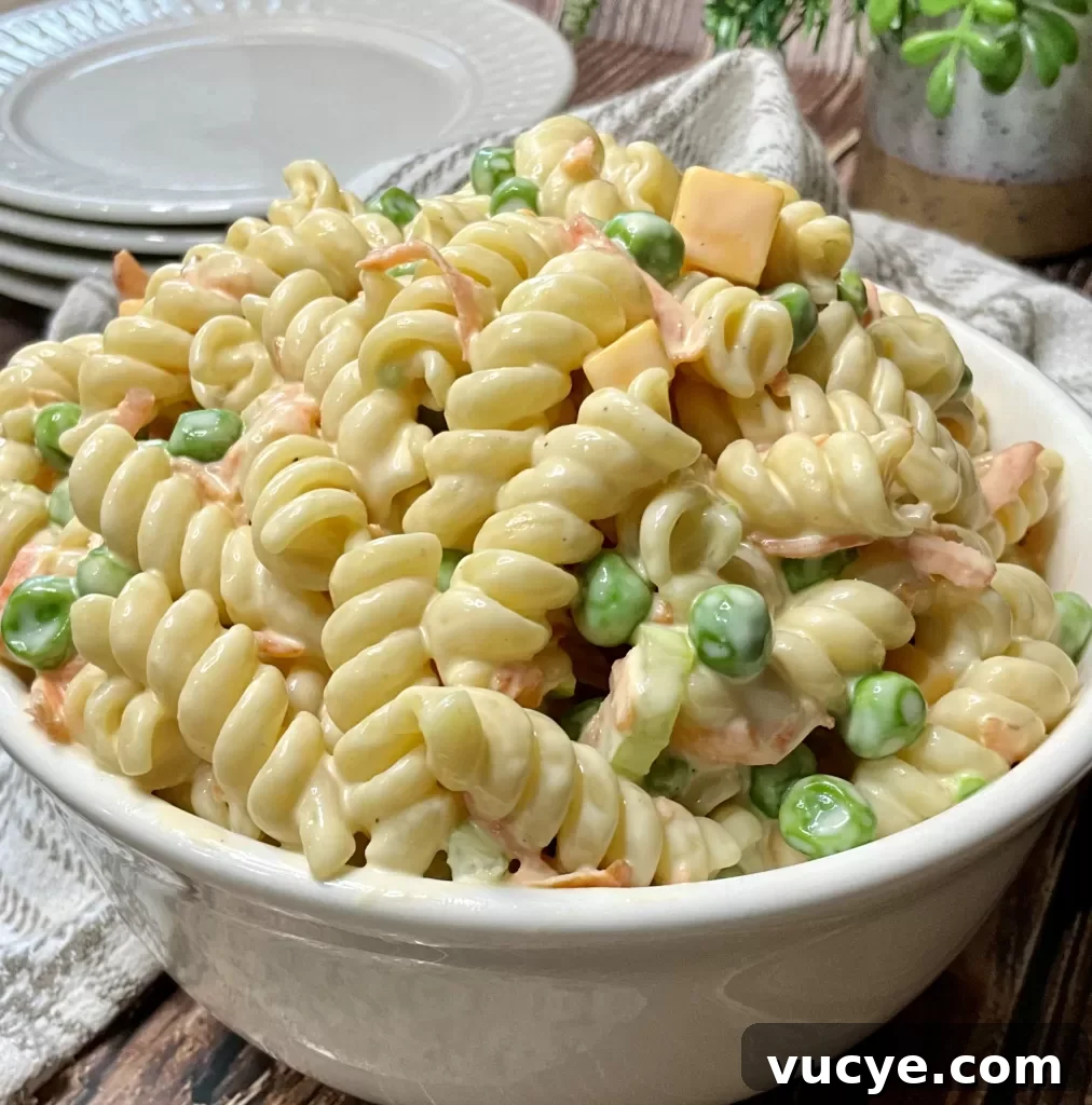 Creamy Italian-Style Pasta Salad with Tangy Dressing 2 Creamy Pasta Salad