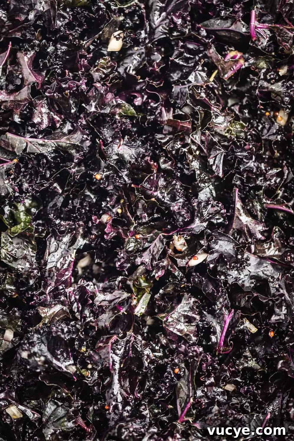The massaged kale with the salad dressed.
