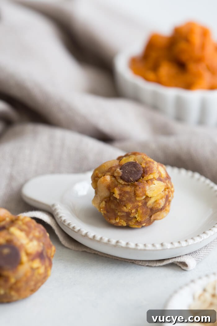 canned pumpkin power balls with chocolate chips