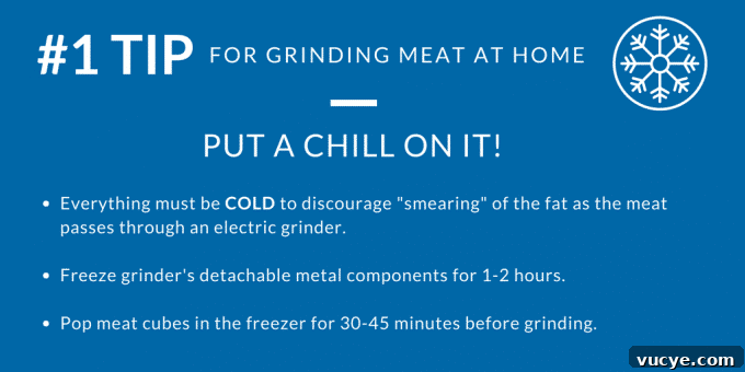 Tips for Grinding Meat at Home | Striped Spatula tips for grinding meat at home