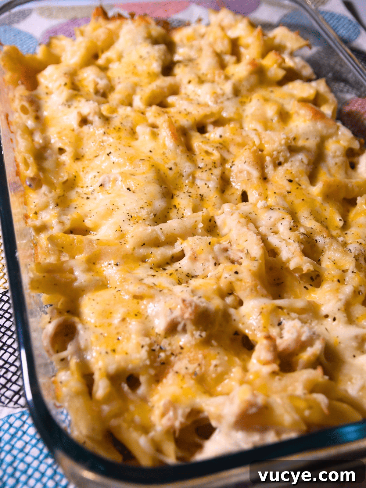 Creamy Chicken Alfredo Pasta Bake: Cheesy Family Casserole 2 pasta chicken alfredo in pan.