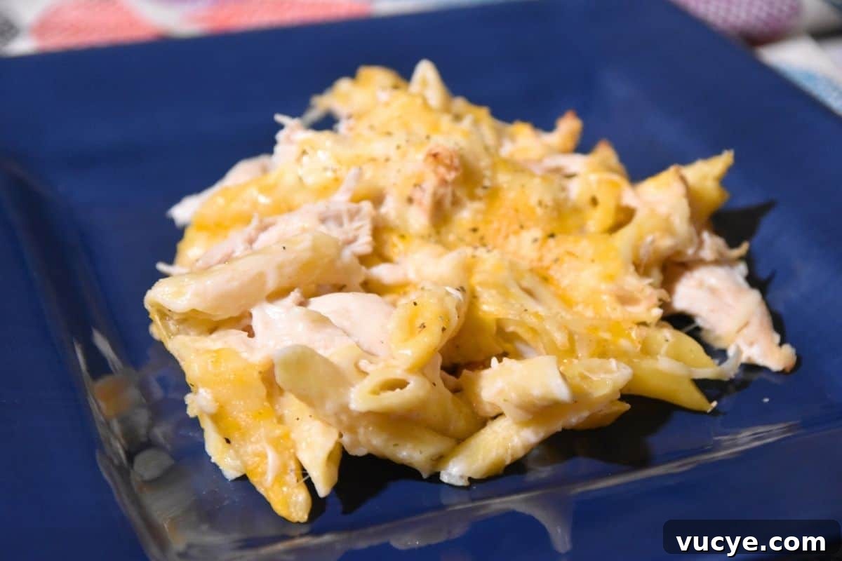 Creamy Chicken Alfredo Pasta Bake: Cheesy Family Casserole 3 chicken alfredo casserole on plate.