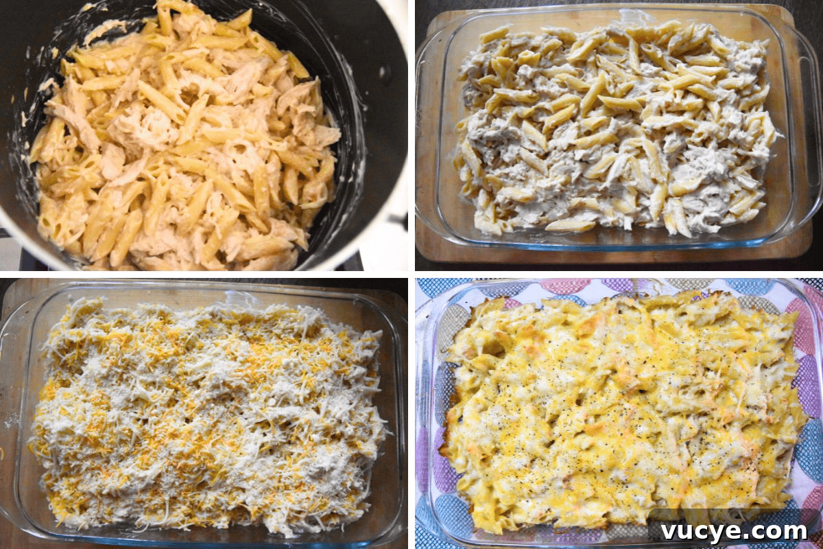 Creamy Chicken Alfredo Pasta Bake: Cheesy Family Casserole 6 making chicken alfredo casserole