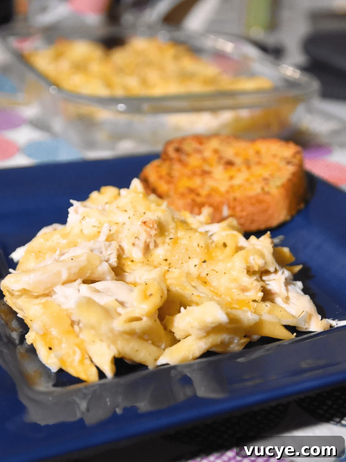 Creamy Chicken Alfredo Pasta Bake: Cheesy Family Casserole 7 chicken alfredo casserole on blue plate with garlic bread.
