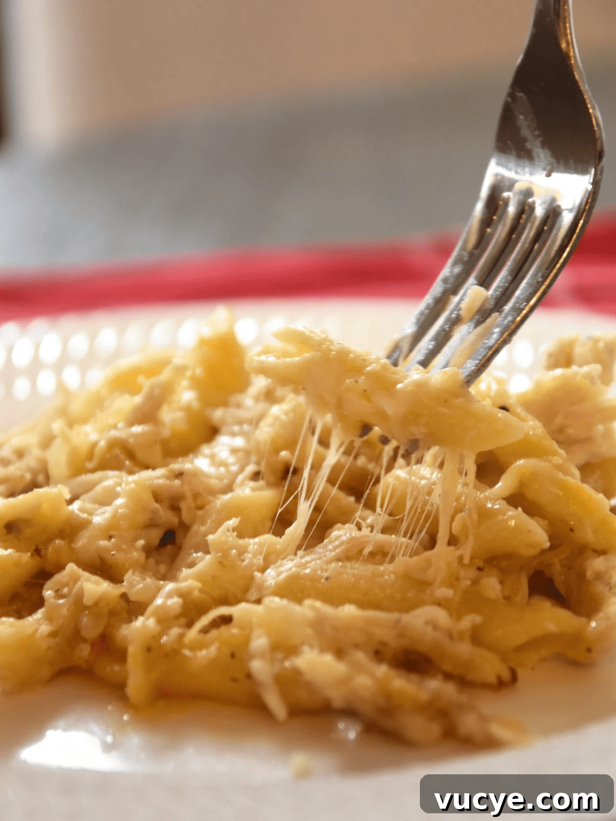 Creamy Chicken Alfredo Pasta Bake: Cheesy Family Casserole 8 fork in plate of chicken alfredo casserole