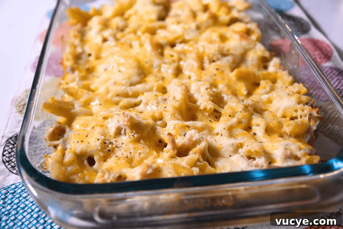 Creamy Chicken Alfredo Pasta Bake: Cheesy Family Casserole 9 chicken alfredo casserole on pan.