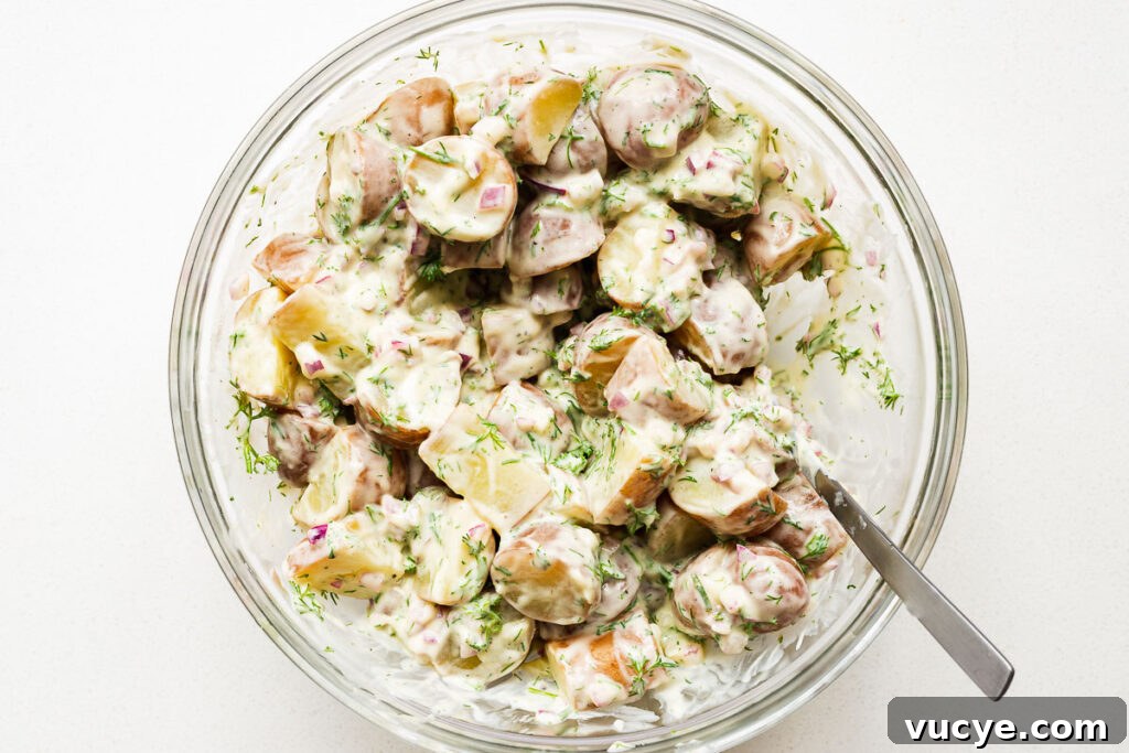 Gently folding the cooked potatoes through the creamy dressing in a large mixing bowl.