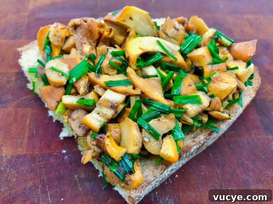 Where to Forage and How to Cook Chanterelle Mushrooms 2 Chanterelles.