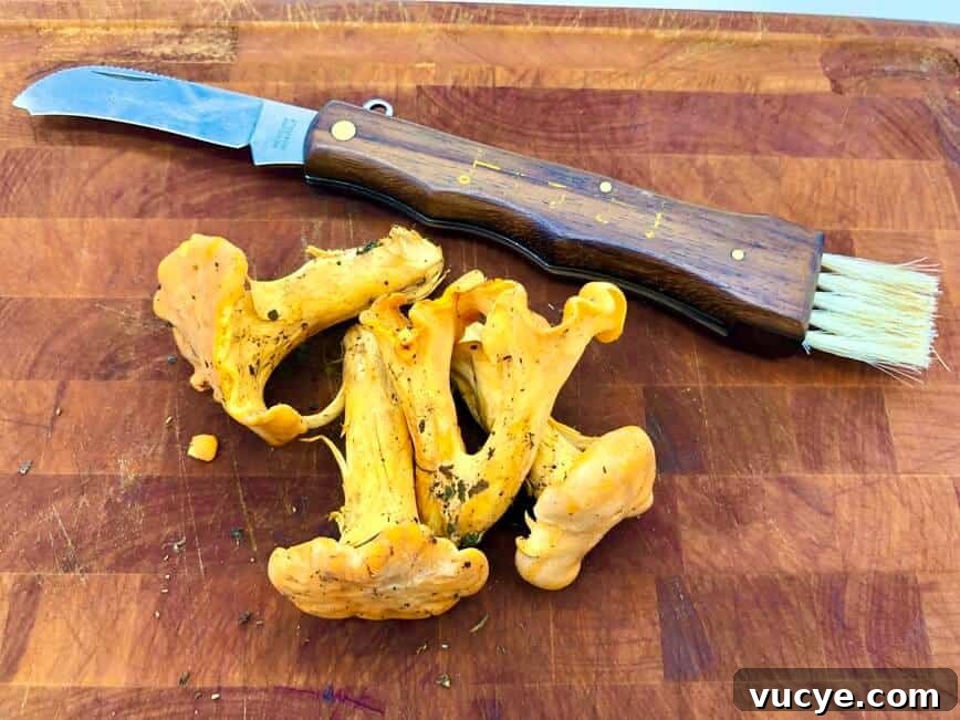 Where to Forage and How to Cook Chanterelle Mushrooms 5 Mushroom pruning knife with brush.