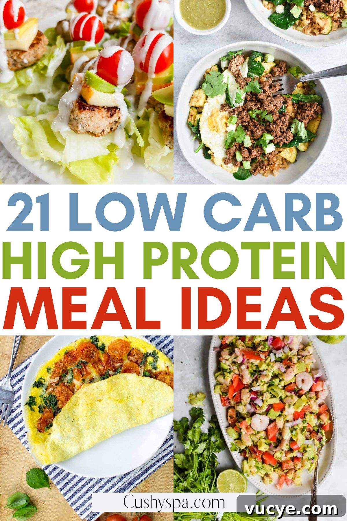 low carb high protein recipes