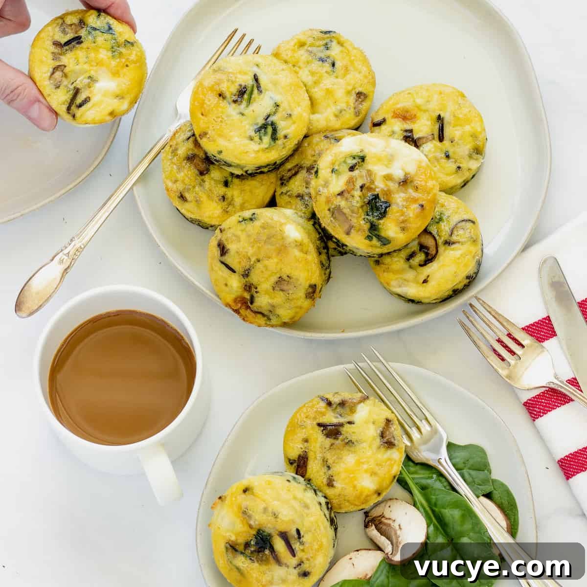 egg muffin cups