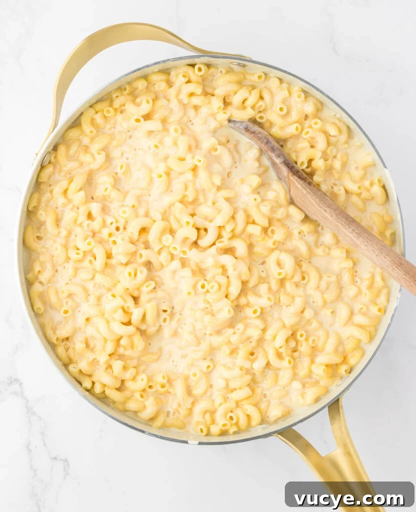 Creamy Baked Macaroni and Cheese Casserole Recipe 11 cheese sauce and macaroni noodles mixed together