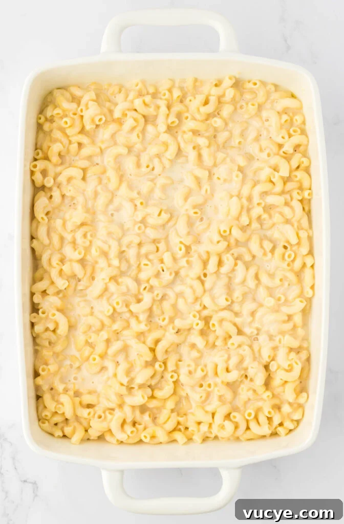 Creamy Baked Macaroni and Cheese Casserole Recipe 12 macaroni and cheese in a baking dish