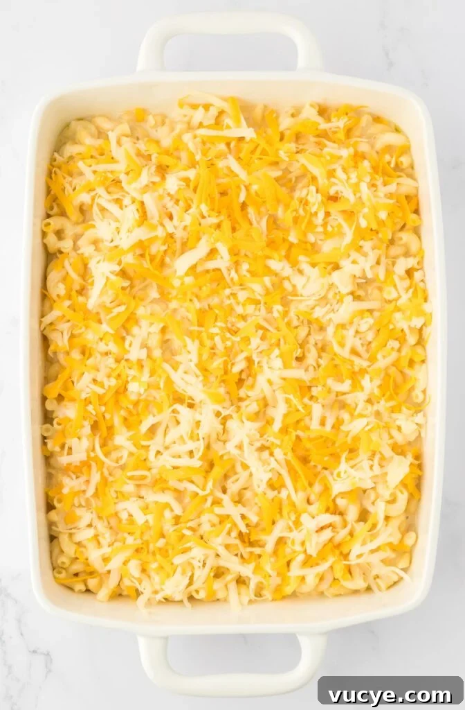 Creamy Baked Macaroni and Cheese Casserole Recipe 13 macaroni and cheese in a baking dish topped with cheese