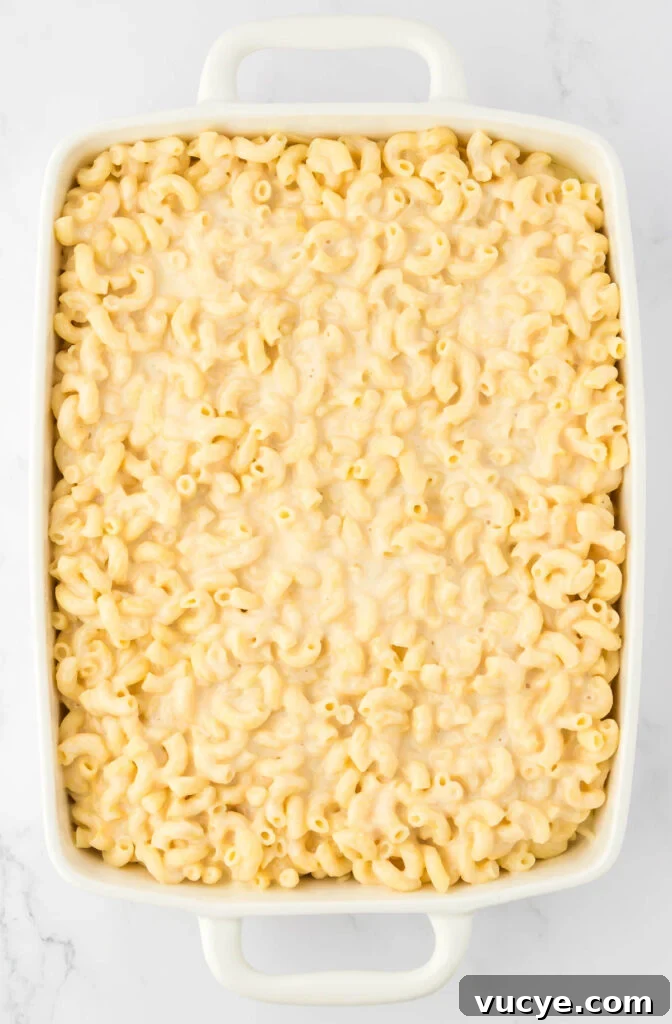 Creamy Baked Macaroni and Cheese Casserole Recipe 14 macaroni and cheese in a baking dish