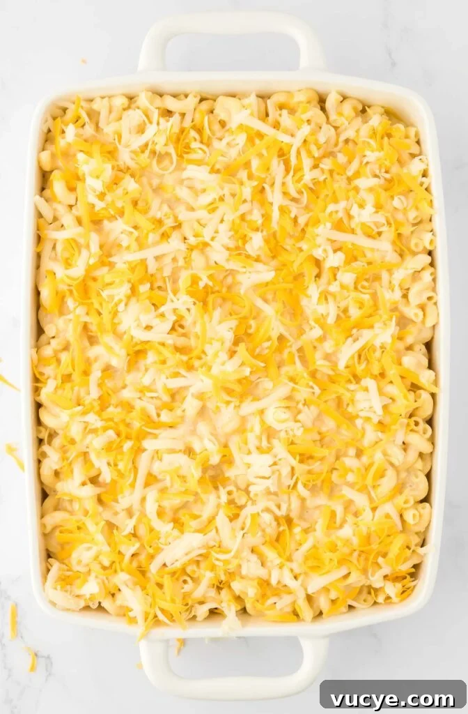 Creamy Baked Macaroni and Cheese Casserole Recipe 15 macaroni and cheese in a baking dish topped with cheese
