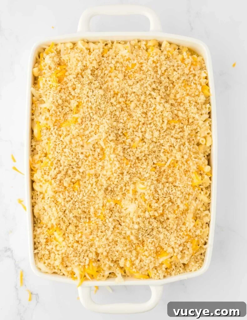 Creamy Baked Macaroni and Cheese Casserole Recipe 17 mac and cheese topped with bread crumb mixture