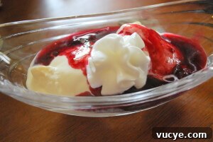 Cheesecake Frozen Custard (Sugar Free, THM~S, Low Carb)