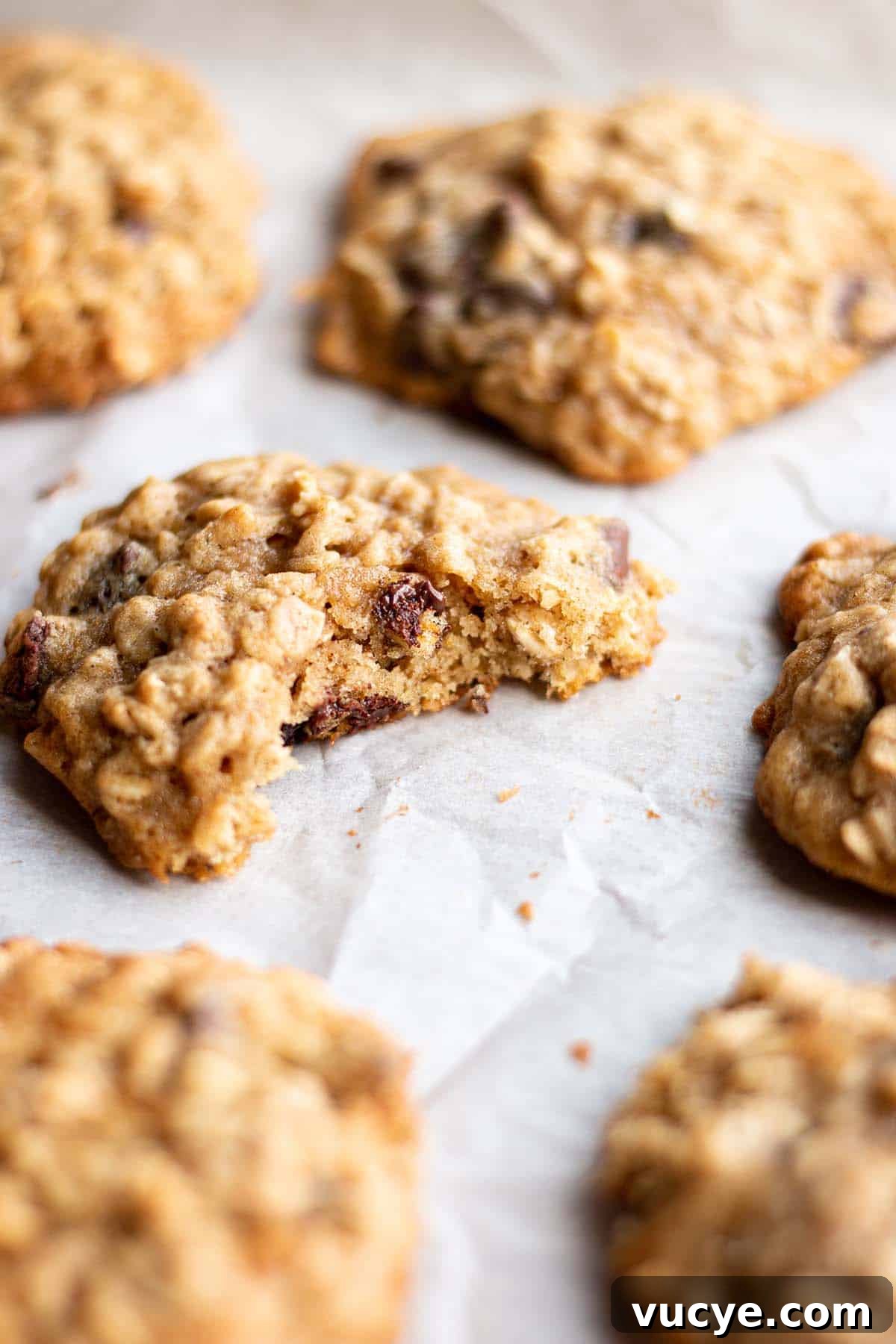 Sourdough Oatmeal Cookies Recipe with Tangy Starter Flavor 2 Oatmeal cookies on a baking sheet with one that has a bite taken out.