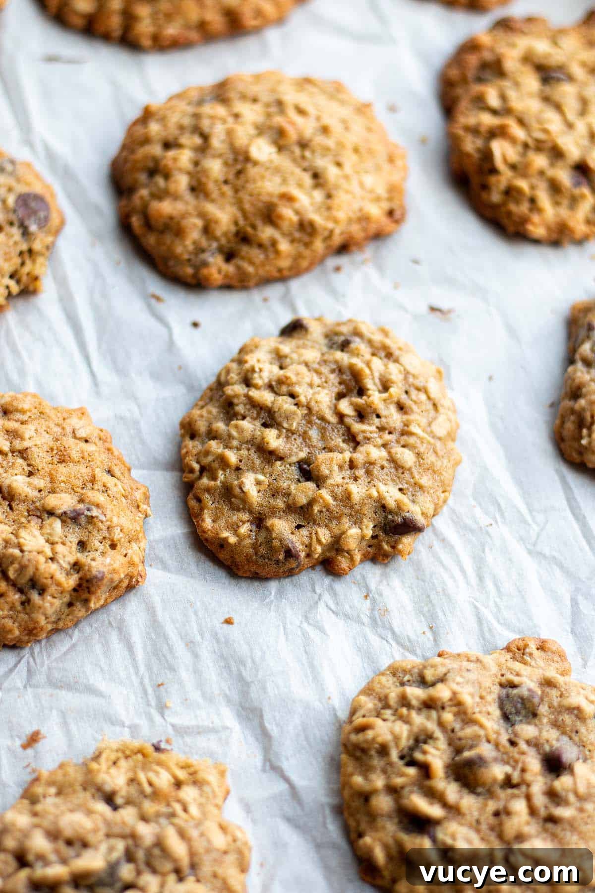 Sourdough Oatmeal Cookies Recipe with Tangy Starter Flavor 6 Baked oatmeal cookies on a baking sheet.