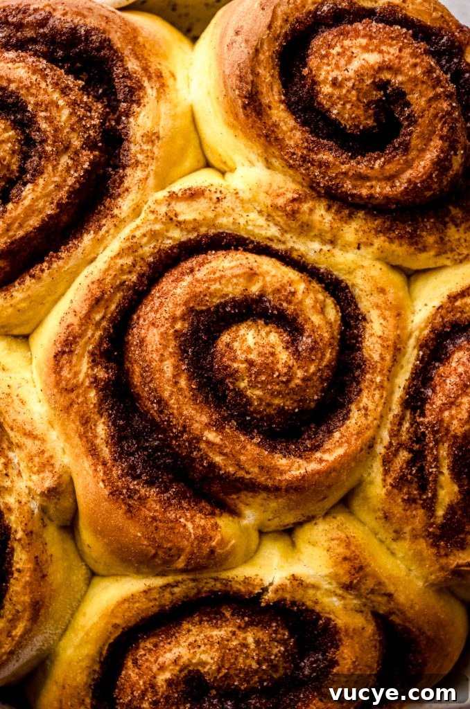 Closeup of a baked pumpkin cinnamon roll without frosting.