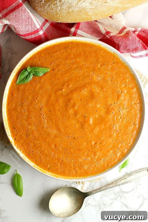 Creamy Tomato Soup Recipe You Can Make in 20 Minutes 2 img 9919 1