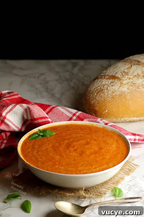 Creamy Tomato Soup Recipe You Can Make in 20 Minutes 3 img 9919 2