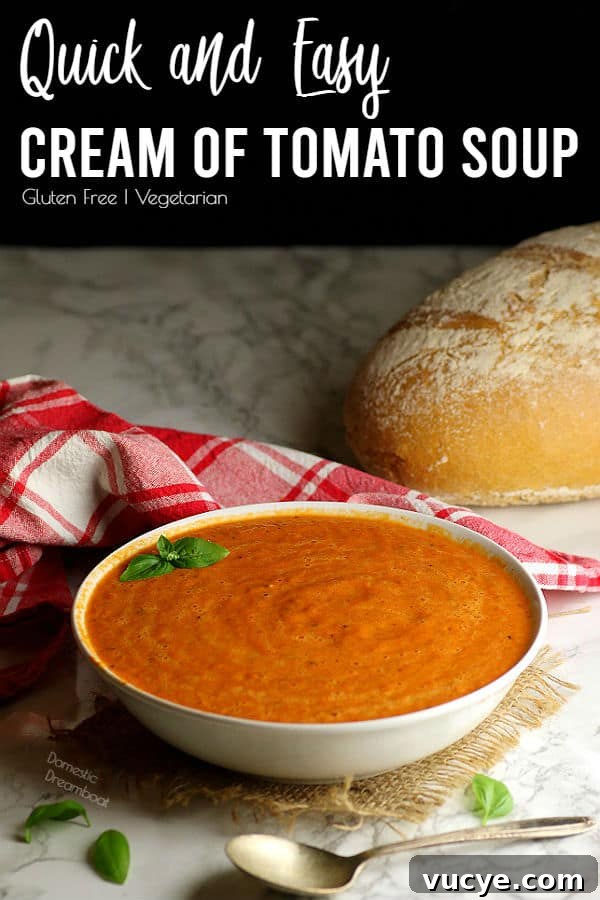 Creamy Tomato Soup Recipe You Can Make in 20 Minutes 9 img 9919 8