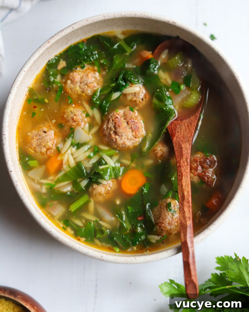 Closeup of a bowl of Italian wedding soup with meatballs, greens and carrots