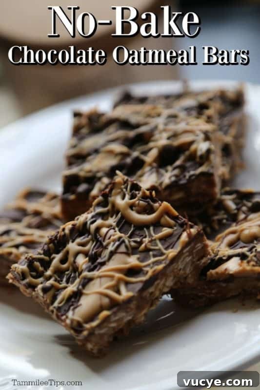 No Bake Chocolate Oatmeal Bars over a plate of bars