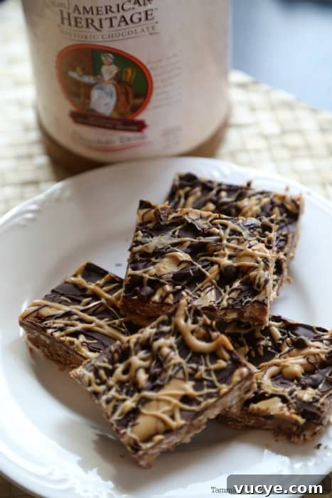 Chocolate oatmeal no bake bars on a white plate 