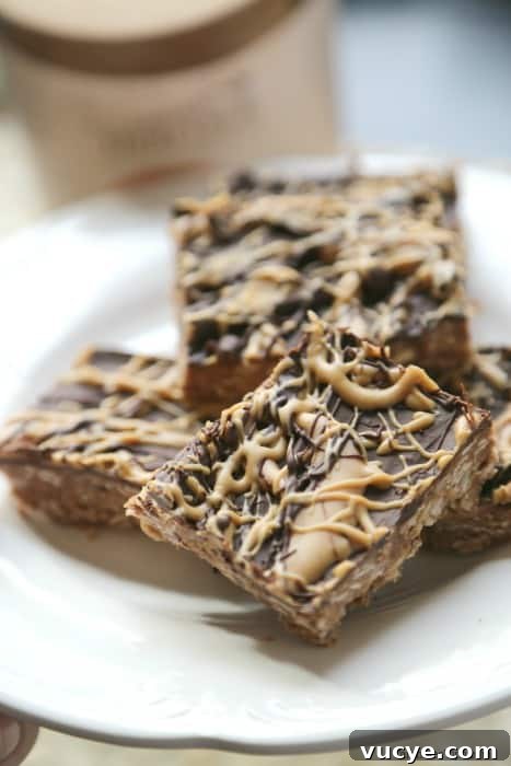 Chocolate no bake oatmeal bars on a white plate