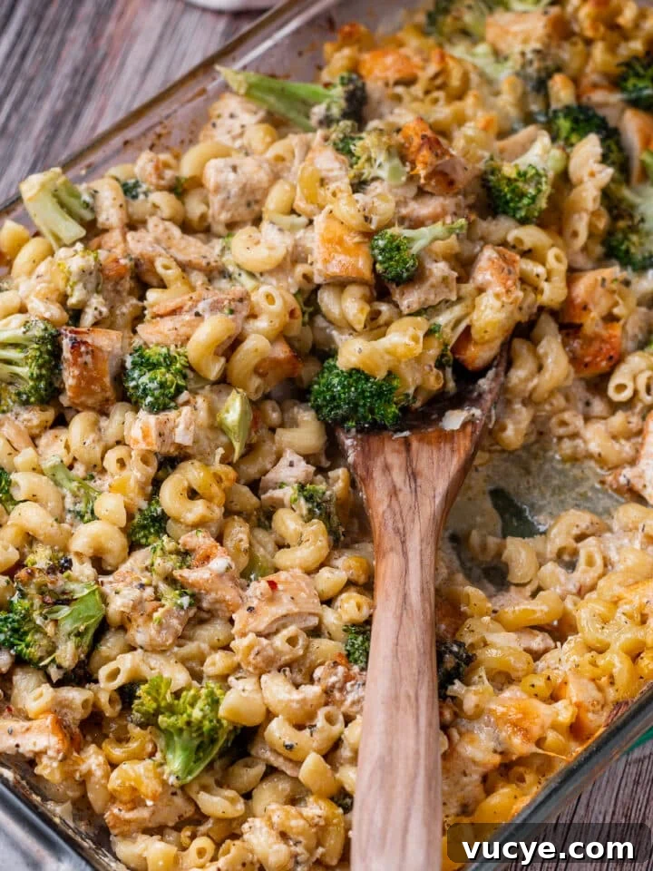 cheesy chicken and broccoli pasta bake casserole using leftover chicken