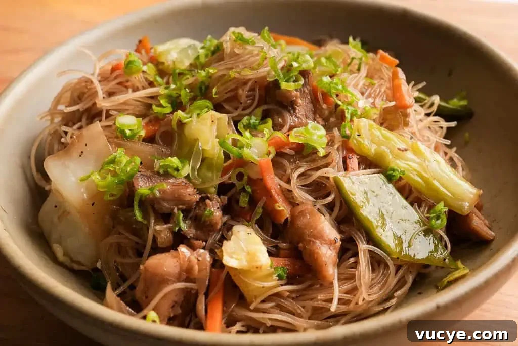 Close up view of a bowl of pancit bihon with chicken, cabbage, and more.