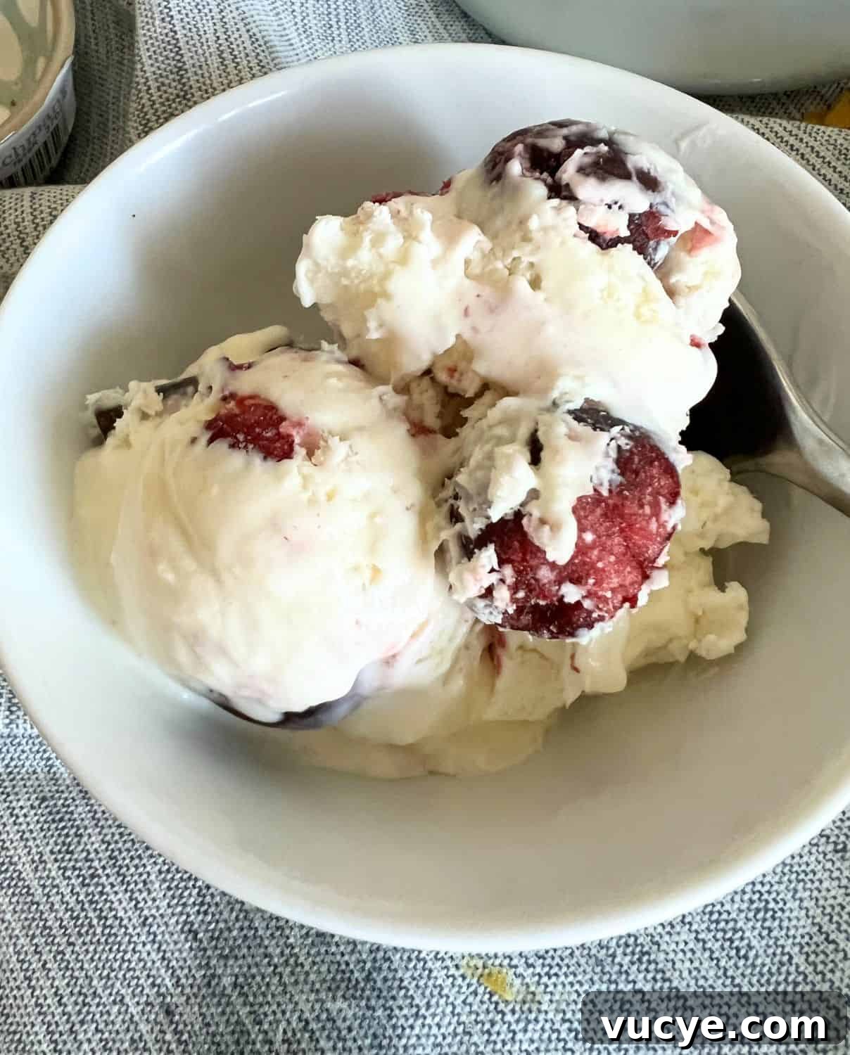 Ninja Creami Cherry Garcia Ice Cream 