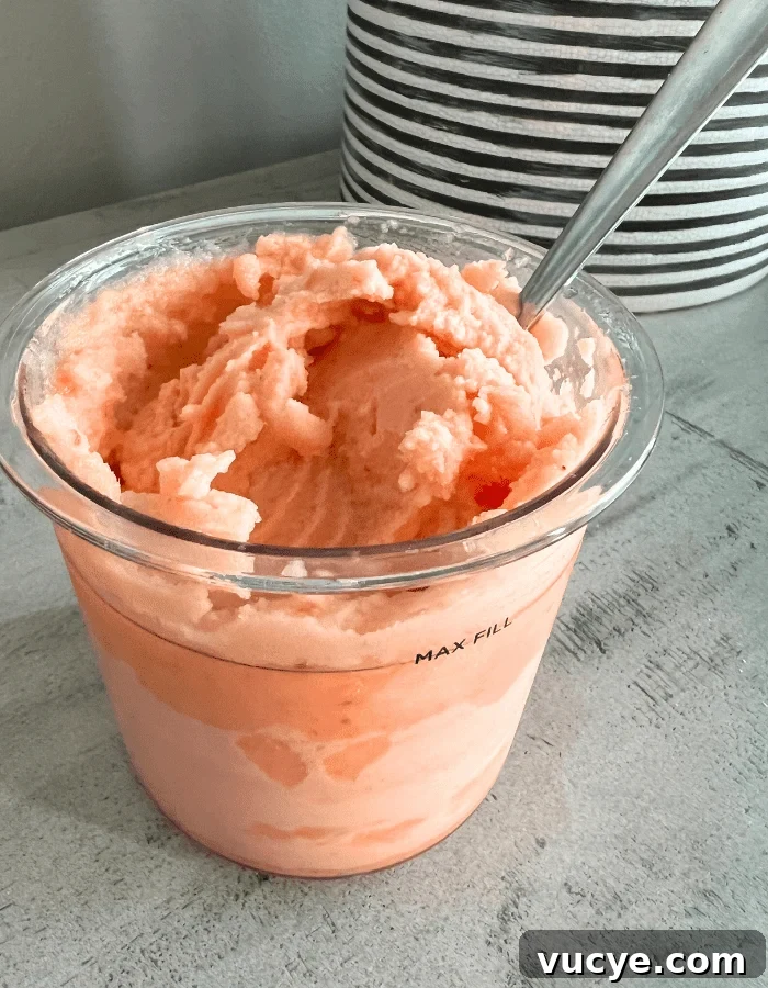 Ninja Creami Sorbet Recipe 