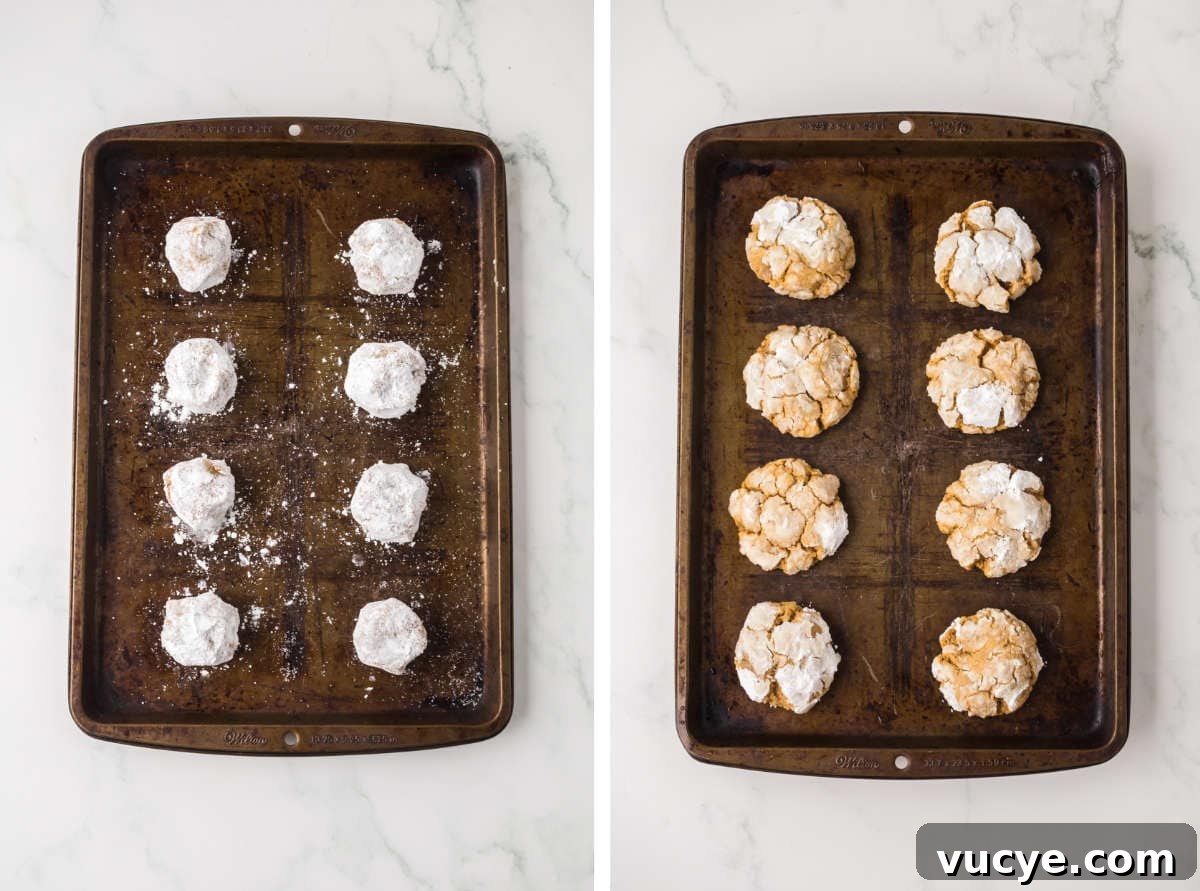 Gingerbread cookie dough rolled in powdered sugar and baked until soft with crackled tops on a sheet pan