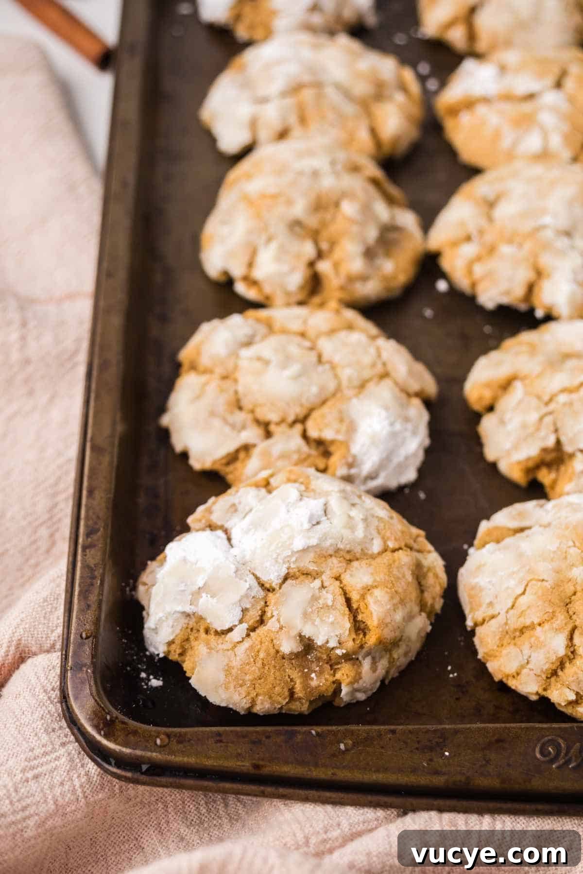 Soft gingerbread crinkle cookies baked on a metal sheet pan with powdered sugar crackle tops