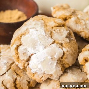 Soft gingerbread crinkle cookies stacked together with powdered sugar crackled tops and thick, tender texture