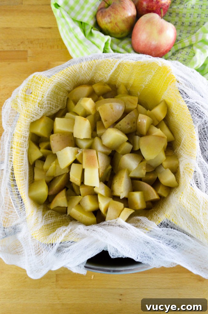 apple jelly straining