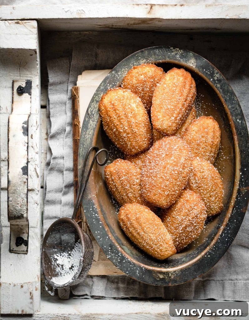 Shell shaped madeleines dusted with sugar in a bowl.