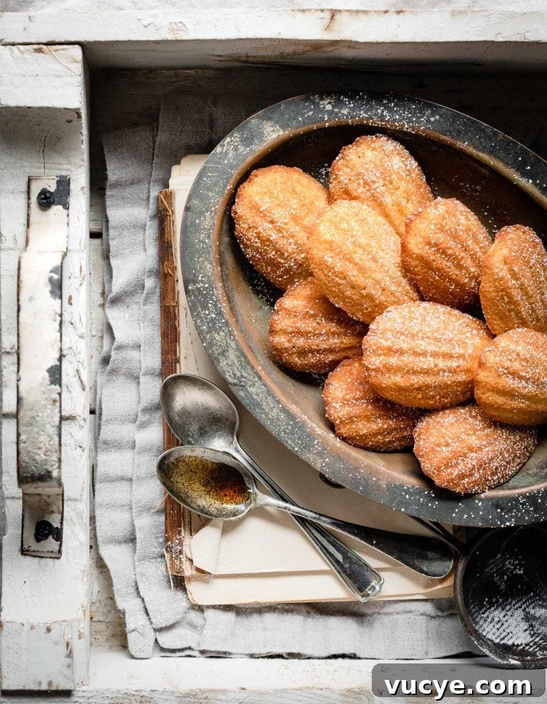 French madeleines on a plate with spoonful of vanilla extract.